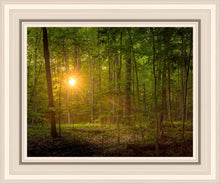 Load image into Gallery viewer, Suddenly A Light Descended
