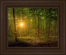 Load image into Gallery viewer, Suddenly A Light Descended
