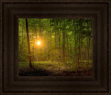 Load image into Gallery viewer, Suddenly A Light Descended
