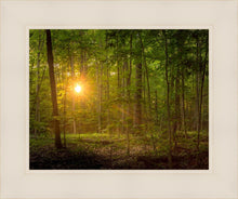 Load image into Gallery viewer, Suddenly A Light Descended

