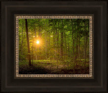 Load image into Gallery viewer, Suddenly A Light Descended
