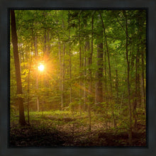 Load image into Gallery viewer, Suddenly A Light Descended
