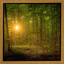 Load image into Gallery viewer, Suddenly A Light Descended
