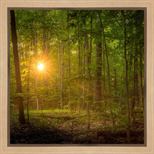 Load image into Gallery viewer, Suddenly A Light Descended
