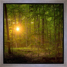 Load image into Gallery viewer, Suddenly A Light Descended
