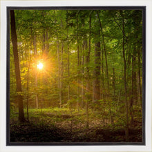 Load image into Gallery viewer, Suddenly A Light Descended
