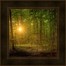 Load image into Gallery viewer, Suddenly A Light Descended
