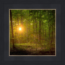 Load image into Gallery viewer, Suddenly A Light Descended
