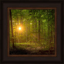 Load image into Gallery viewer, Suddenly A Light Descended
