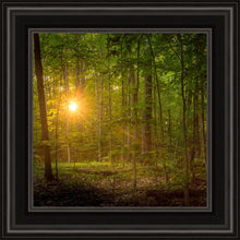 Load image into Gallery viewer, Suddenly A Light Descended
