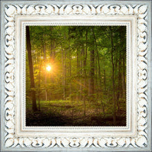 Load image into Gallery viewer, Suddenly A Light Descended
