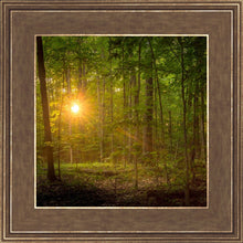 Load image into Gallery viewer, Suddenly A Light Descended
