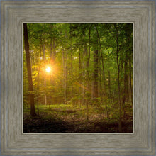 Load image into Gallery viewer, Suddenly A Light Descended
