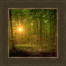 Load image into Gallery viewer, Suddenly A Light Descended
