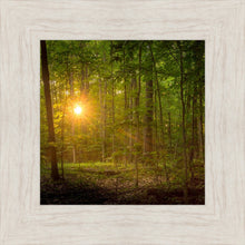 Load image into Gallery viewer, Suddenly A Light Descended
