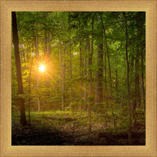 Load image into Gallery viewer, Suddenly A Light Descended
