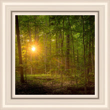 Load image into Gallery viewer, Suddenly A Light Descended
