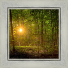 Load image into Gallery viewer, Suddenly A Light Descended
