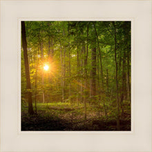 Load image into Gallery viewer, Suddenly A Light Descended
