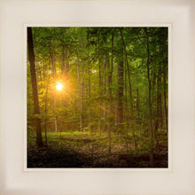 Load image into Gallery viewer, Suddenly A Light Descended
