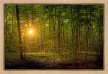 Load image into Gallery viewer, Suddenly A Light Descended
