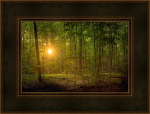 Load image into Gallery viewer, Suddenly A Light Descended
