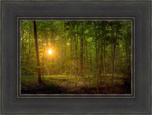 Load image into Gallery viewer, Suddenly A Light Descended
