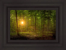 Load image into Gallery viewer, Suddenly A Light Descended
