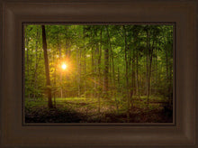 Load image into Gallery viewer, Suddenly A Light Descended
