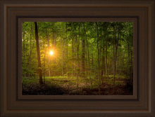 Load image into Gallery viewer, Suddenly A Light Descended
