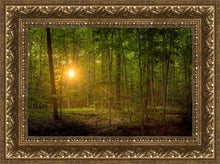 Load image into Gallery viewer, Suddenly A Light Descended
