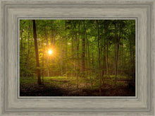 Load image into Gallery viewer, Suddenly A Light Descended

