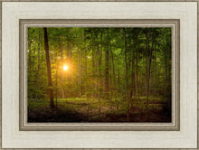 Load image into Gallery viewer, Suddenly A Light Descended
