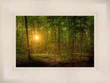 Load image into Gallery viewer, Suddenly A Light Descended
