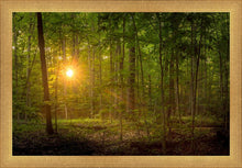 Load image into Gallery viewer, Suddenly A Light Descended
