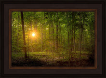 Load image into Gallery viewer, Suddenly A Light Descended

