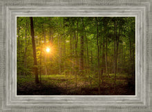 Load image into Gallery viewer, Suddenly A Light Descended
