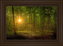 Load image into Gallery viewer, Suddenly A Light Descended
