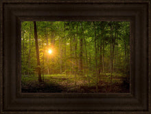 Load image into Gallery viewer, Suddenly A Light Descended
