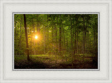 Load image into Gallery viewer, Suddenly A Light Descended
