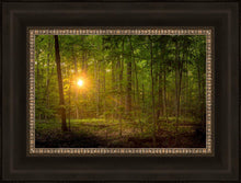 Load image into Gallery viewer, Suddenly A Light Descended
