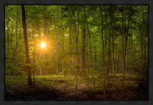 Load image into Gallery viewer, Suddenly A Light Descended
