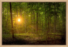 Load image into Gallery viewer, Suddenly A Light Descended
