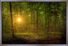 Load image into Gallery viewer, Suddenly A Light Descended
