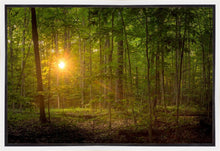 Load image into Gallery viewer, Suddenly A Light Descended
