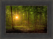 Load image into Gallery viewer, Suddenly A Light Descended

