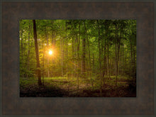 Load image into Gallery viewer, Suddenly A Light Descended
