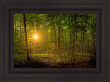 Load image into Gallery viewer, Suddenly A Light Descended
