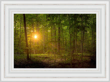 Load image into Gallery viewer, Suddenly A Light Descended
