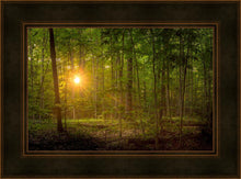 Load image into Gallery viewer, Suddenly A Light Descended

